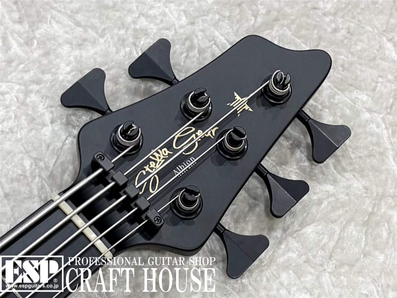 【即納可能】STELLA GEAR Albion STEALTH / Black Satin　渋谷店 - 4