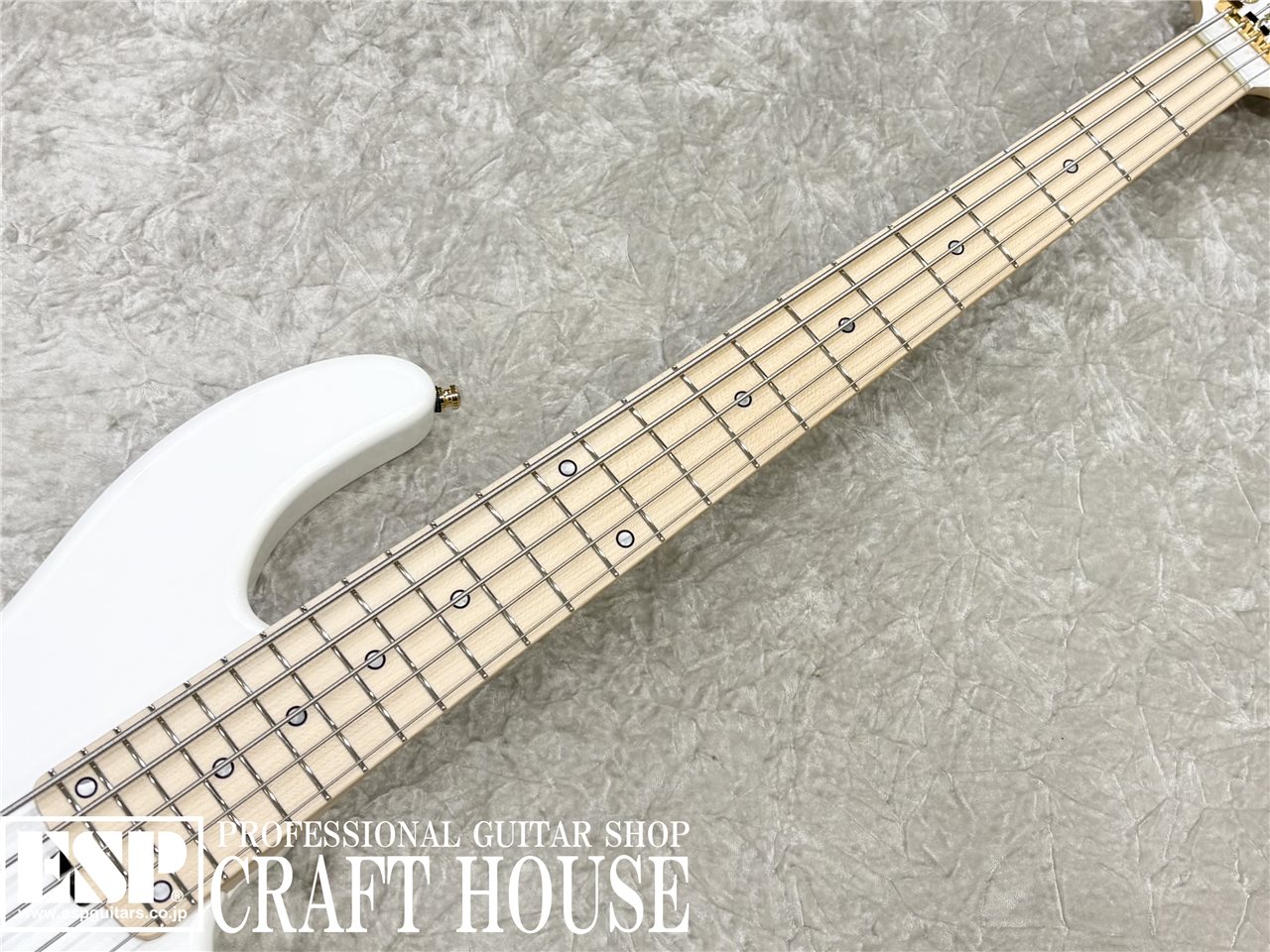 【即納可能】STELLA GEAR Albion / Pearl White　渋谷店 - 3