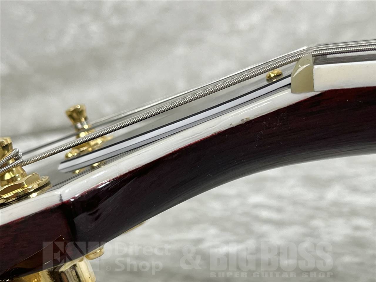 【即納可能】TOKAI(トーカイ) LC-101 /WR (エレキギター)お茶の水駅前店・別館 - 10