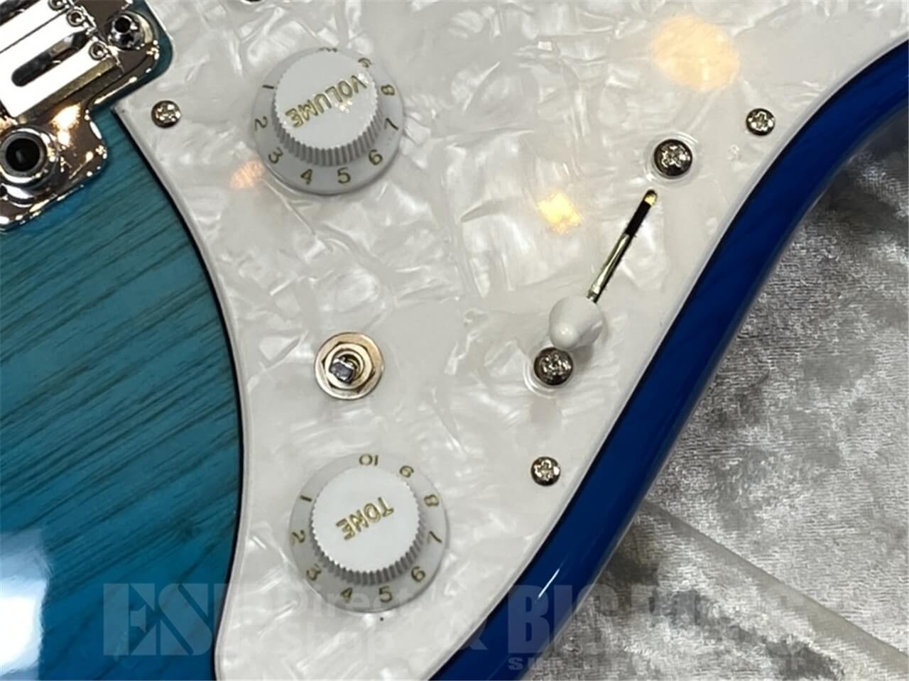 【即納可能】EDWARDS E-SNAPPER-AS/M /See Thru Blue Sunburst GWS - 5