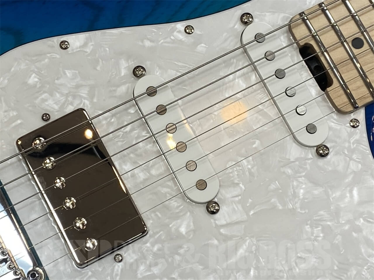 【即納可能】EDWARDS E-SNAPPER-AS/M /See Thru Blue Sunburst GWS - 4