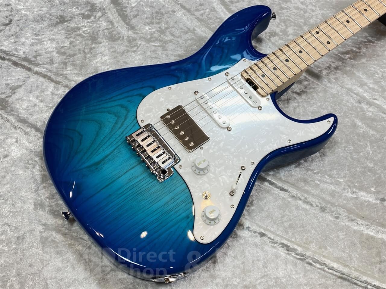 【即納可能】EDWARDS E-SNAPPER-AS/M /See Thru Blue Sunburst GWS - 2