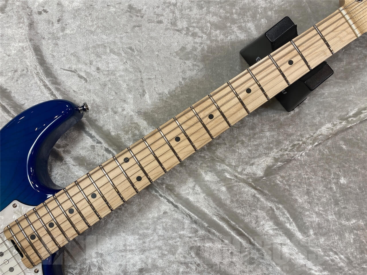 【即納可能】EDWARDS E-SNAPPER-AS/M /See Thru Blue Sunburst GWS - 6