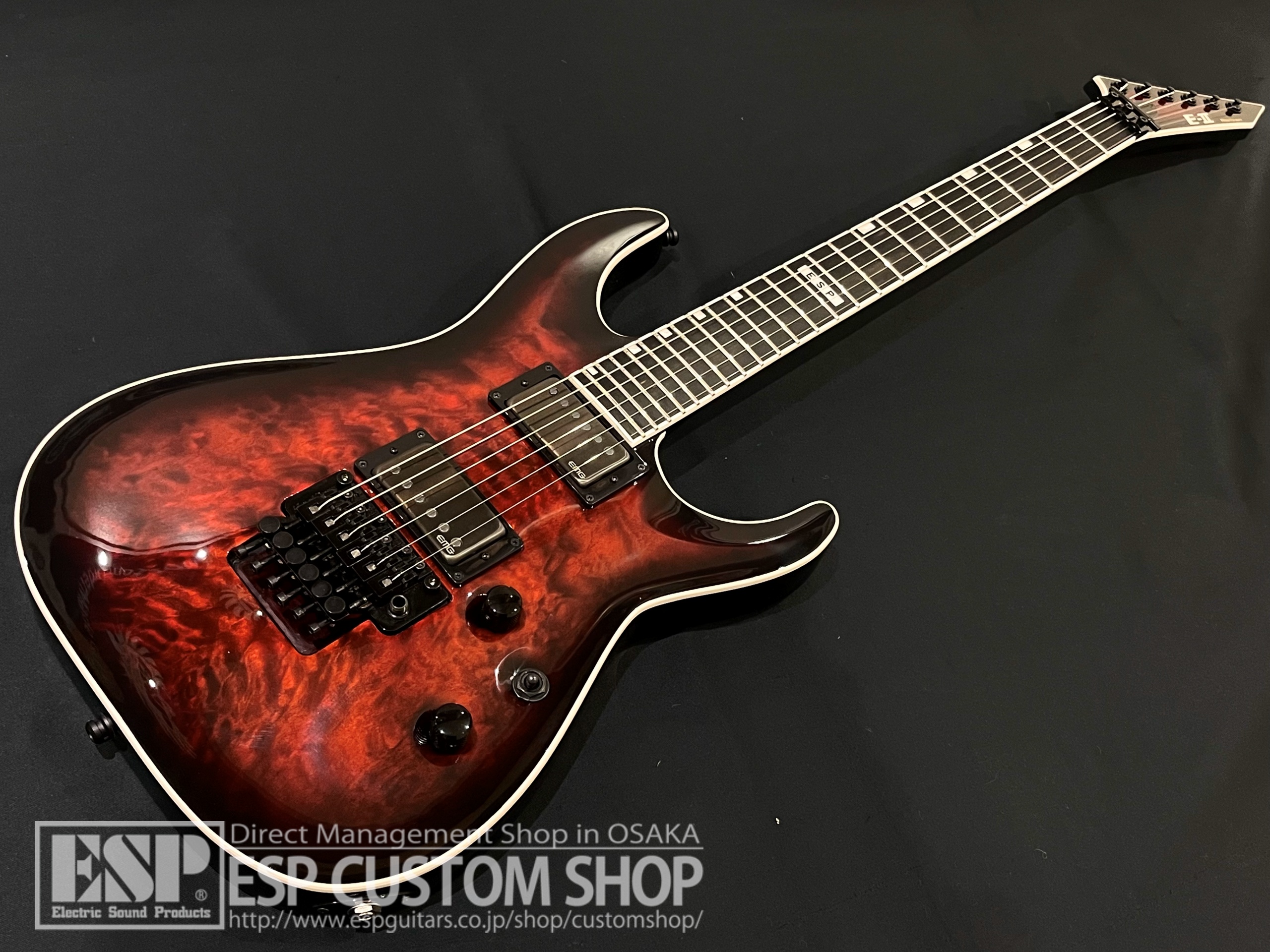 【即納可能】E-II(イーツー) HORIZON FR-II (ホライゾン) / See Thru Black Cherry Sunburst 大阪店