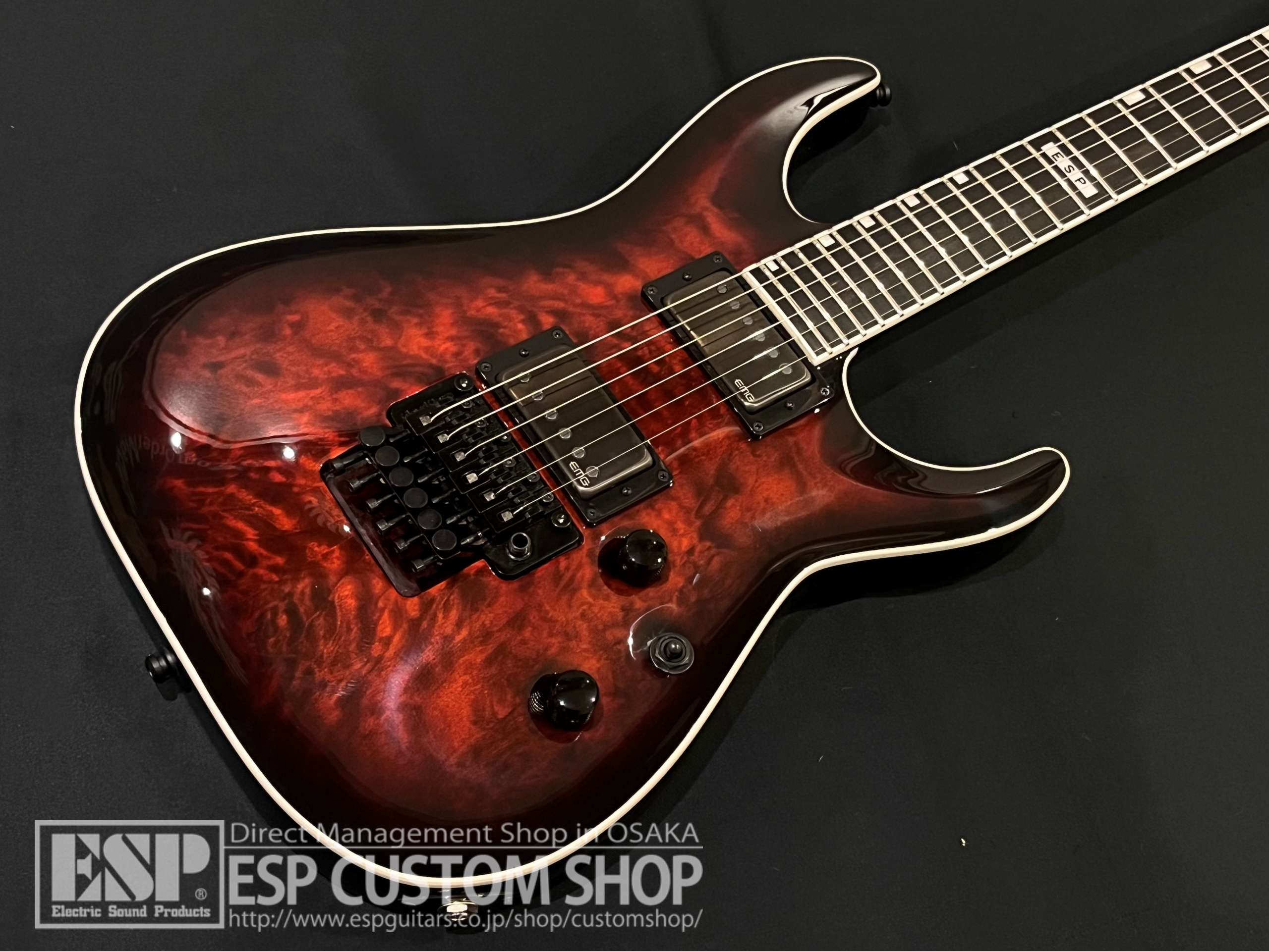 【即納可能】E-II(イーツー) HORIZON FR-II (ホライゾン) / See Thru Black Cherry Sunburst 大阪店