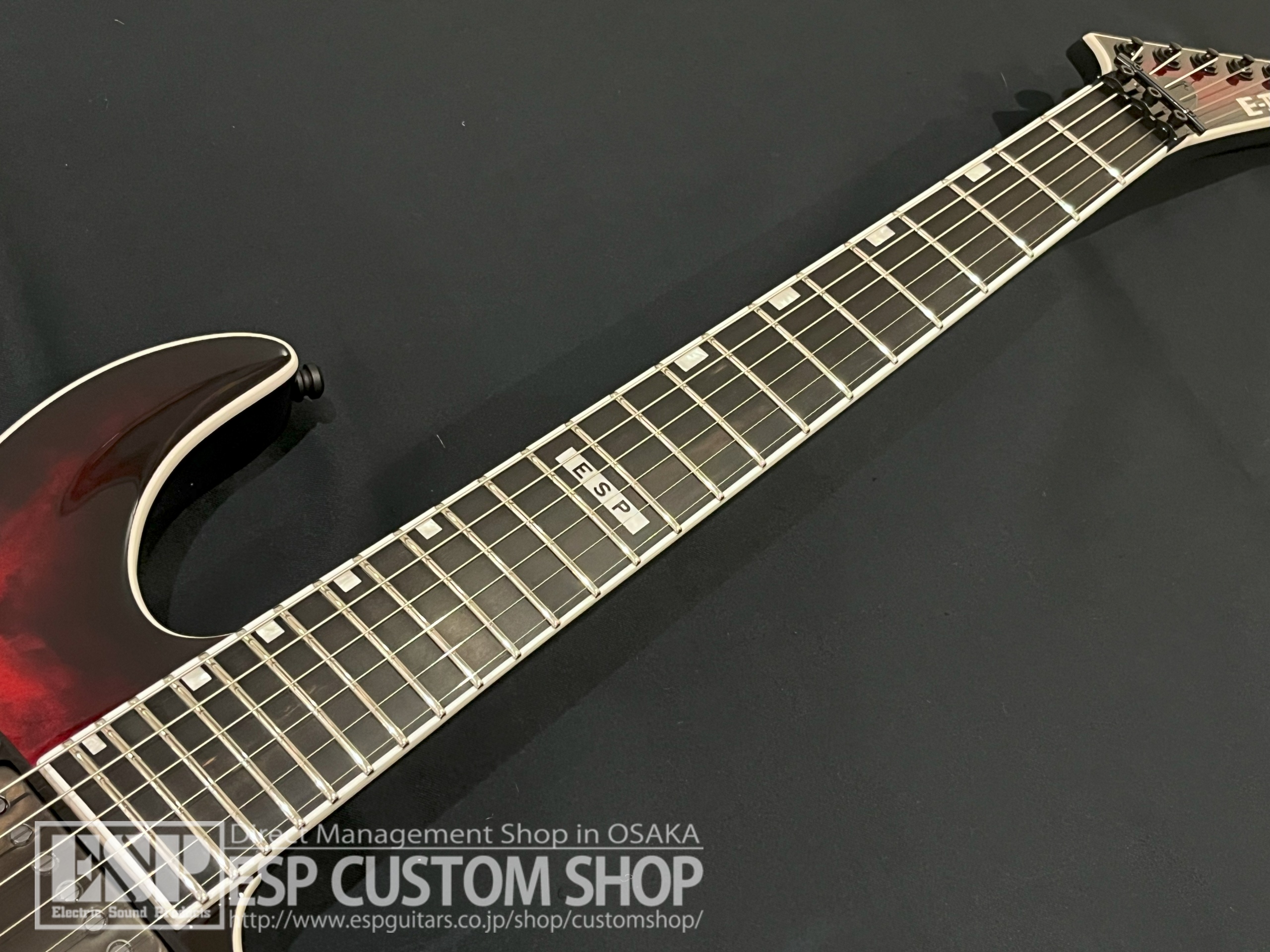 【即納可能】E-II(イーツー) HORIZON FR-II (ホライゾン) / See Thru Black Cherry Sunburst 大阪店