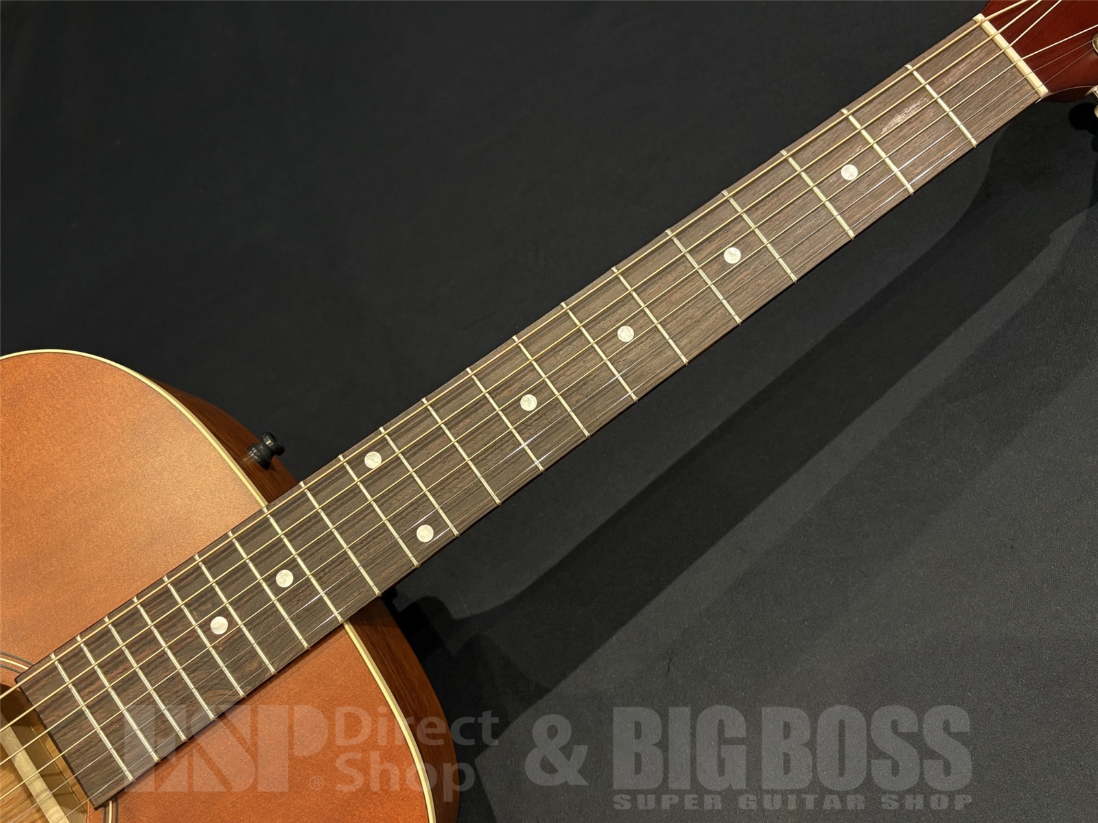 【即納可能】Art&Lutherie(アートアンドルーシア)Legacy Q-Discrete / Havana Brown 京都店 - 5