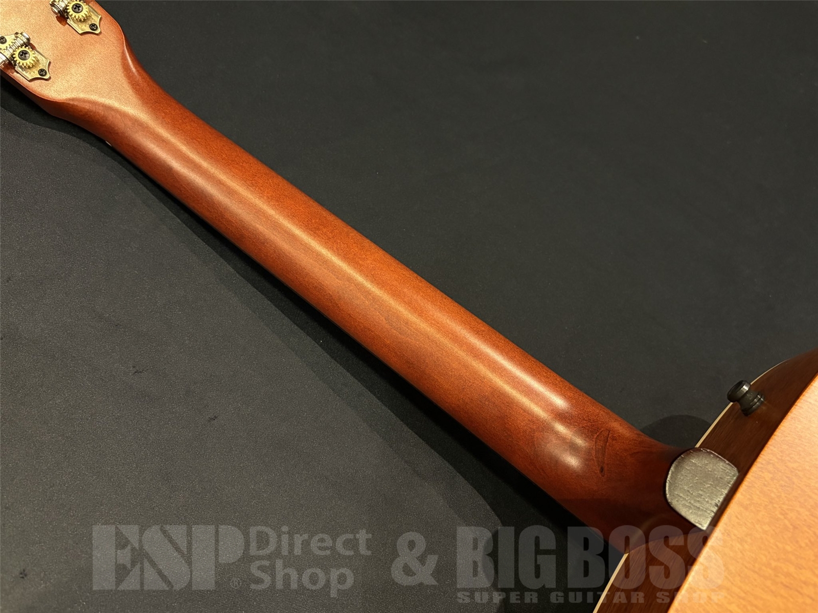 【即納可能】Art&Lutherie(アートアンドルーシア)Legacy Q-Discrete / Havana Brown 京都店 - 10