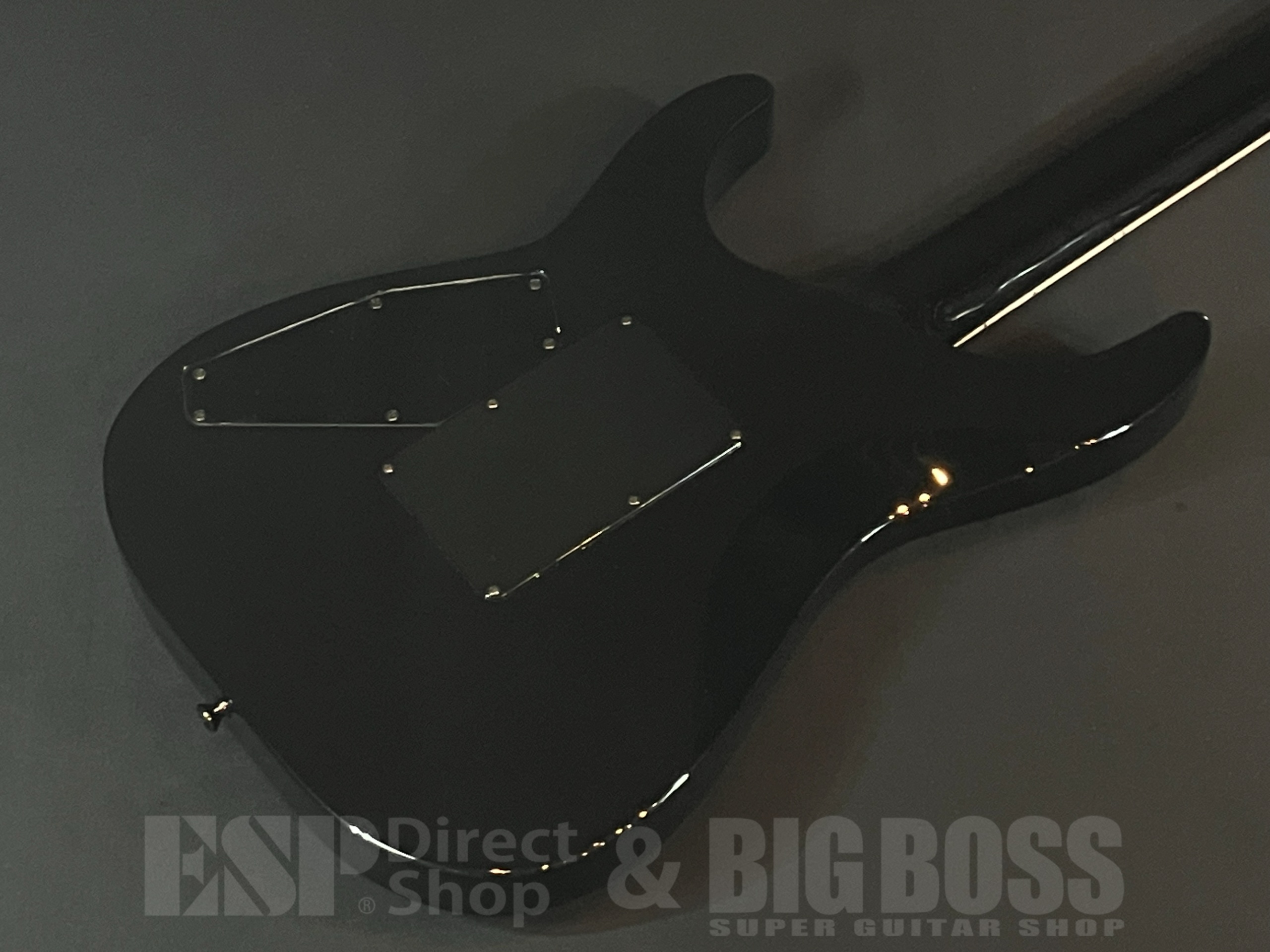 【即納可能】E-II(イーツー) HORIZON SGZ Custom(LUNA SEA, X JAPAN  SUGIZOモデル) / 大阪店 - 6