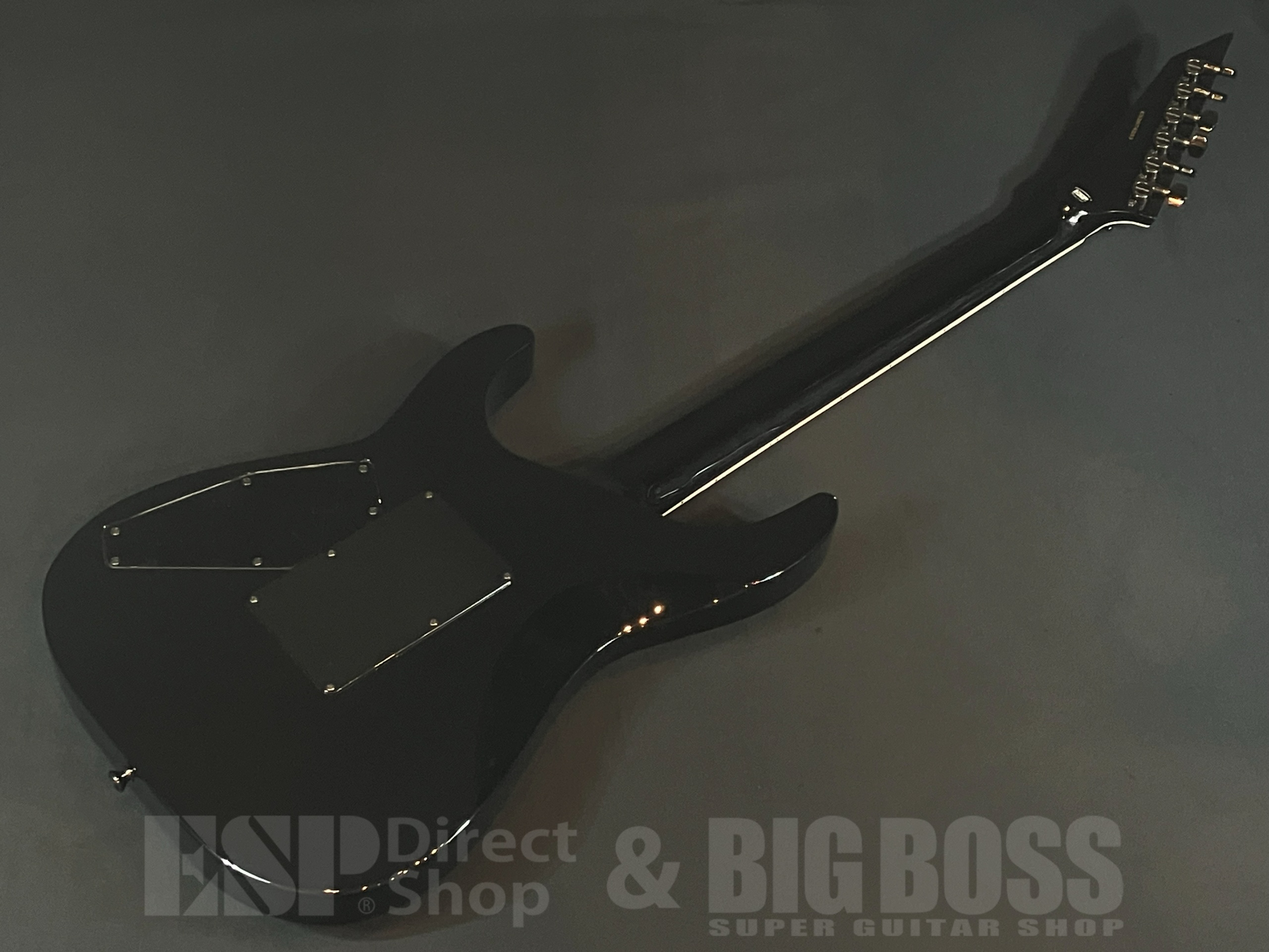 【即納可能】E-II(イーツー) HORIZON SGZ Custom(LUNA SEA, X JAPAN  SUGIZOモデル) / 大阪店 - 5