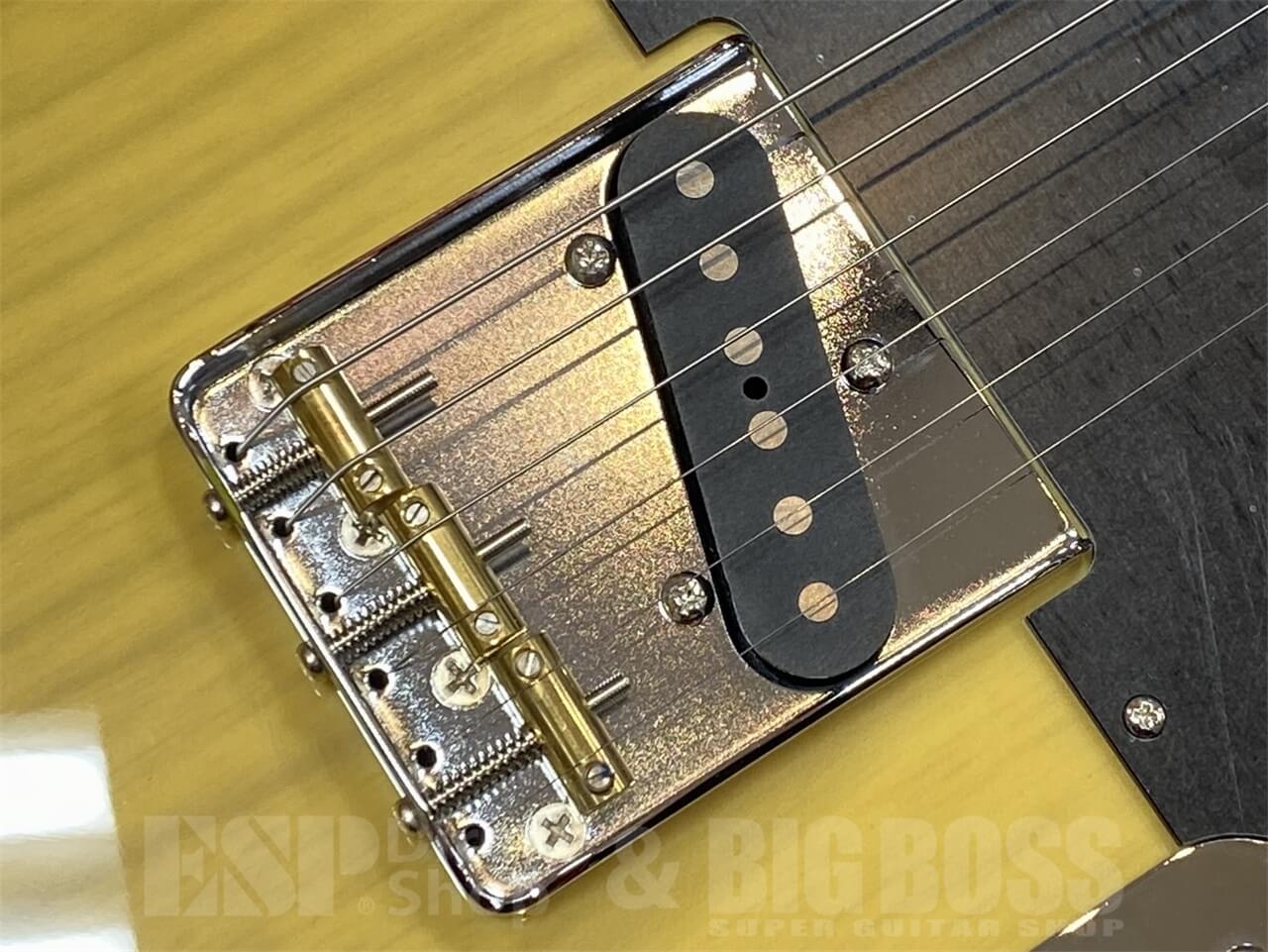 【即納可能】EDWARDS(エドワーズ) E-TE-ASM / Butter Scotch GWS - 3