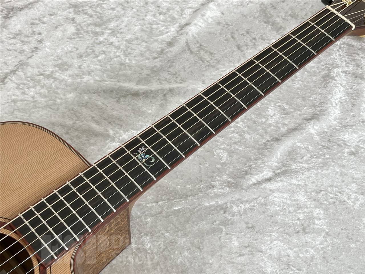 【即納可能】Morris(モーリス) S-91III S SERIES (アコースティックギター) お茶の水駅前店・別館 - 6