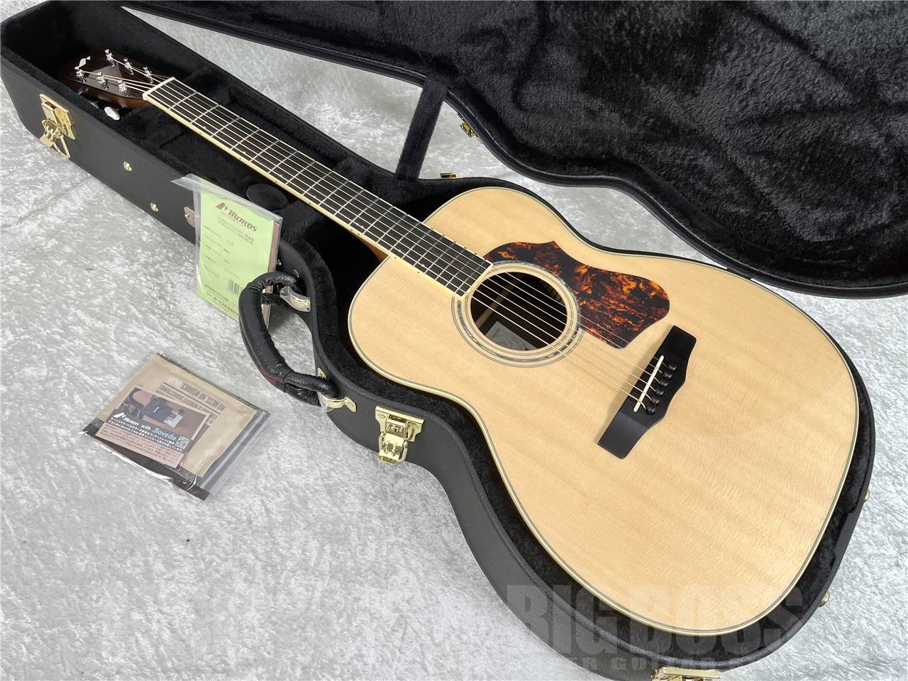 【即納可能】Morris(モーリス) FE-101 (アコースティックギター)お茶の水駅前店・別館