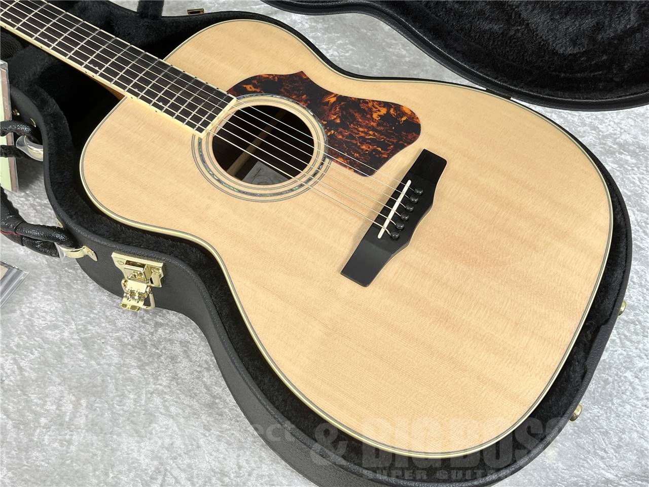 【即納可能】Morris(モーリス) FE-101 (アコースティックギター)お茶の水駅前店・別館 - 12