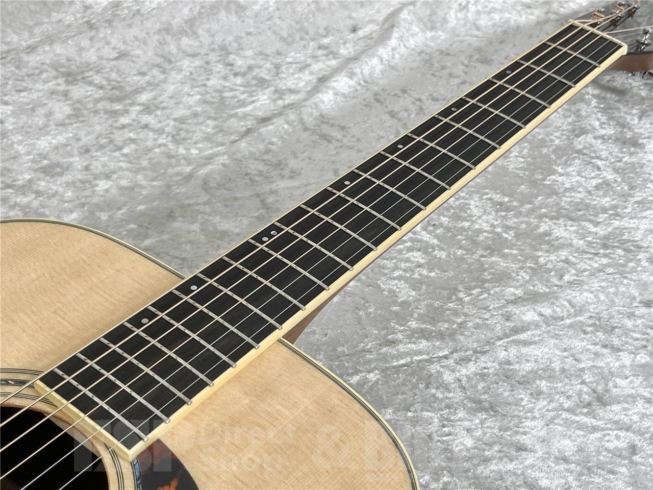 【即納可能】Morris(モーリス) FE-101 (アコースティックギター)お茶の水駅前店・別館 - 6