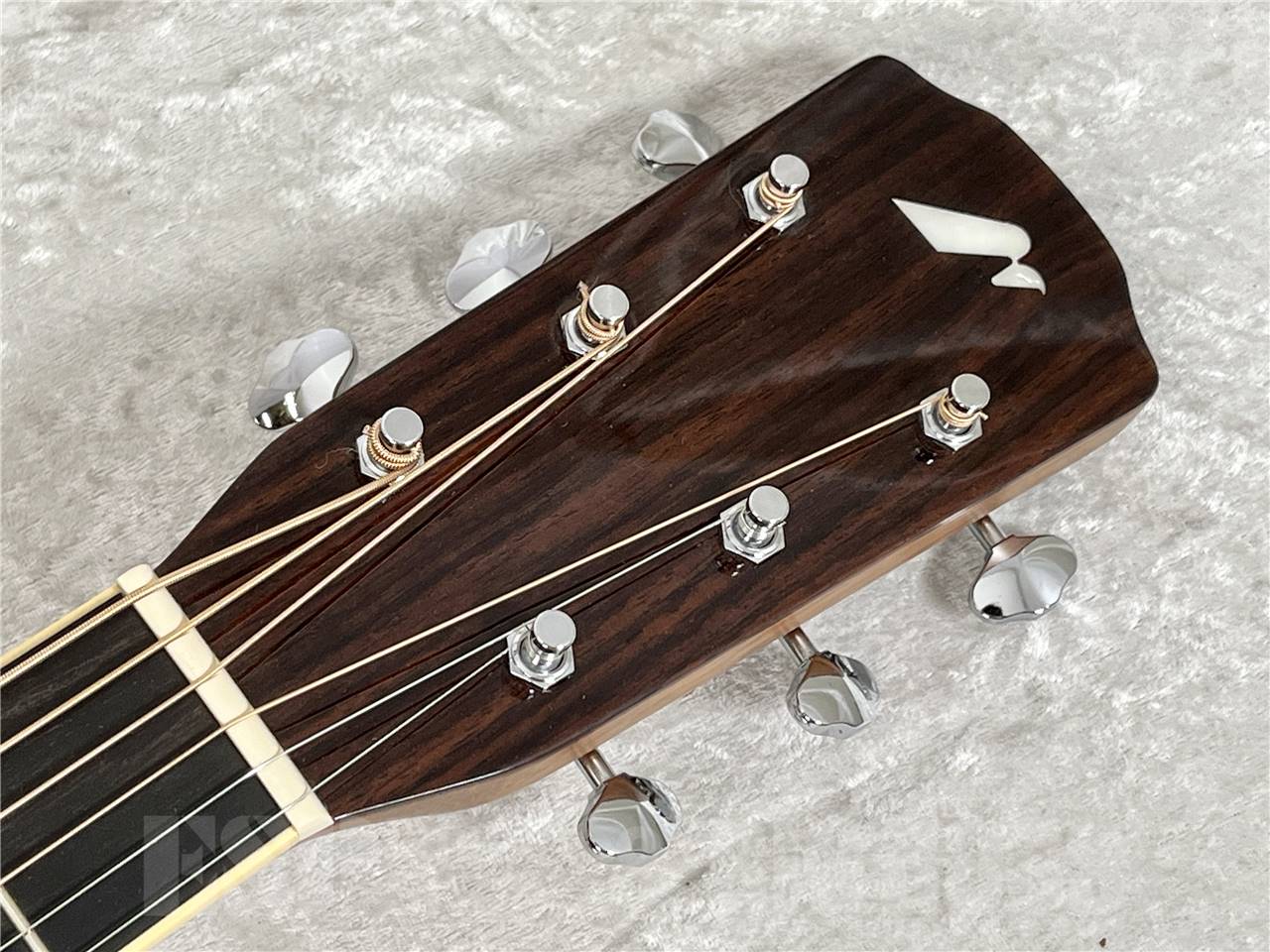 【即納可能】Morris(モーリス) FE-101 (アコースティックギター)お茶の水駅前店・別館 - 7