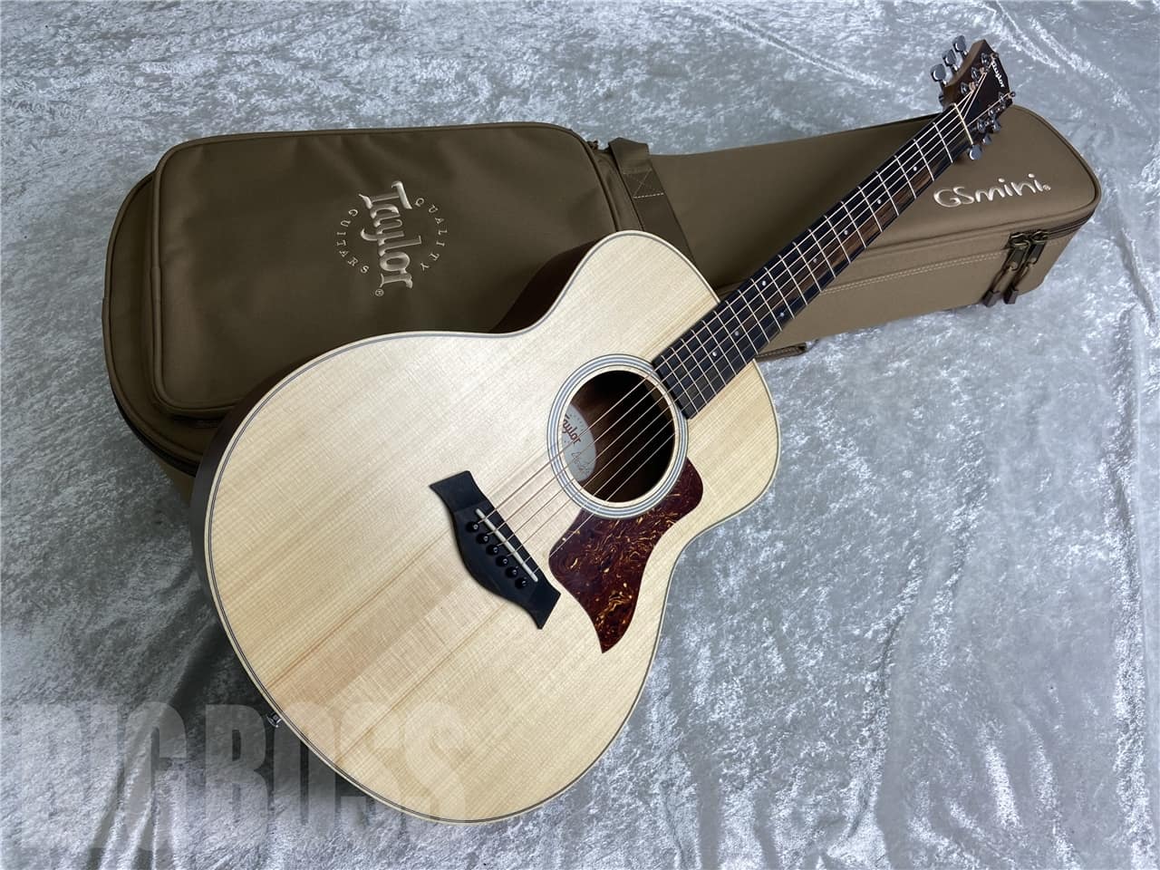 【即納可能/新品特価】Taylor(テイラー) GS Mini Rosewood お茶の水駅前店(東京)