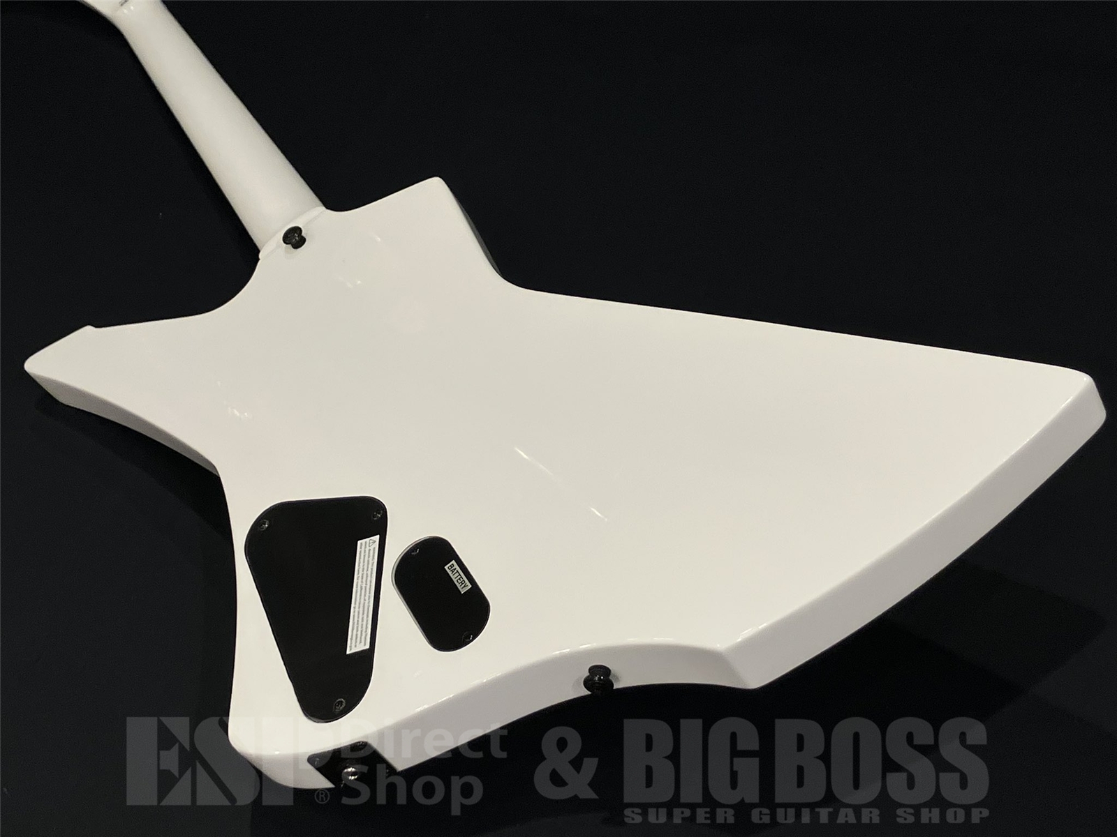 【即納可能】LTD(エルティーディー) SNAKEBYTE / Snow White (METALLICA/James Hetfieldモデル) 京都店 - 9