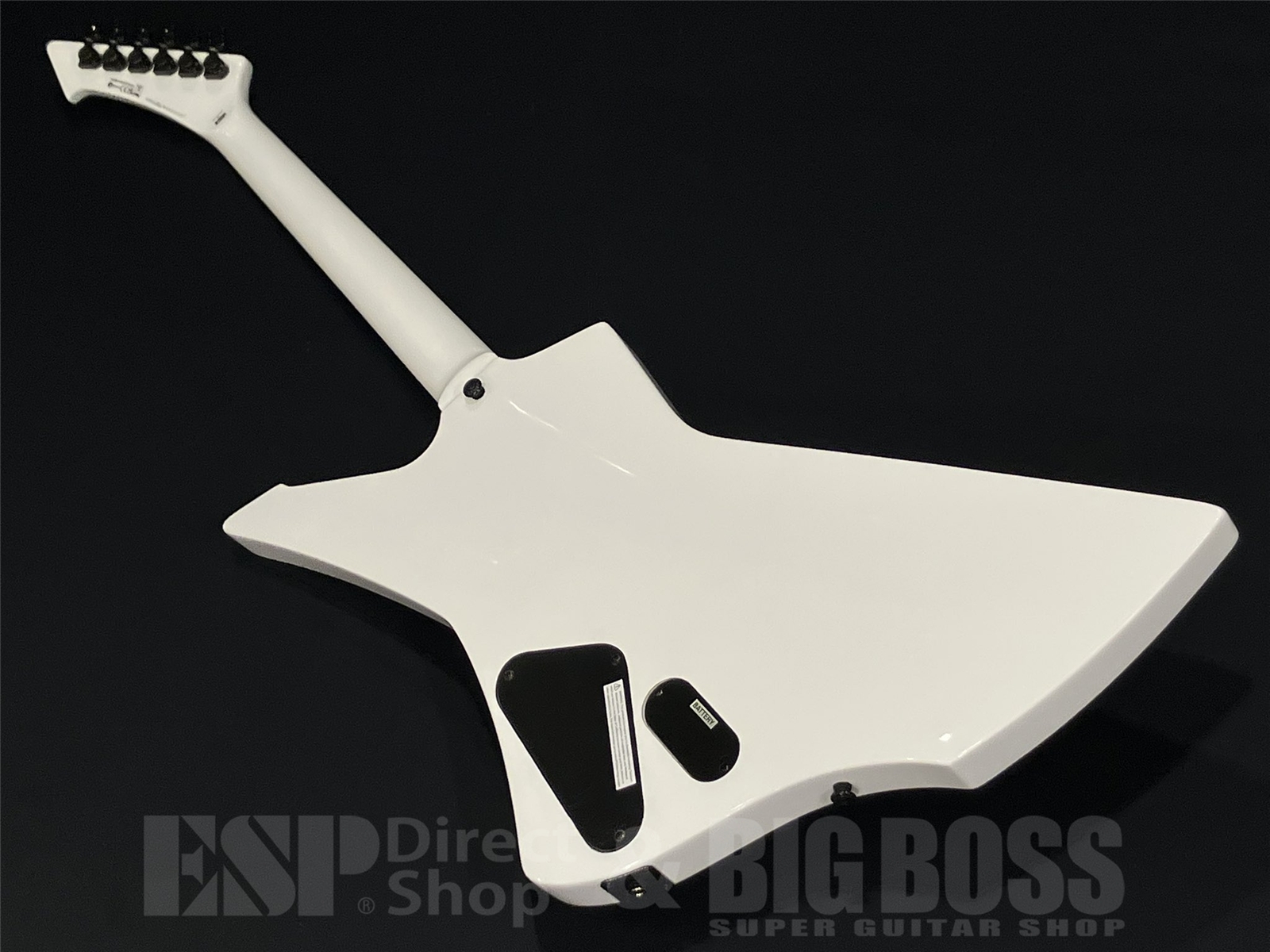 【即納可能】LTD(エルティーディー) SNAKEBYTE / Snow White (METALLICA/James Hetfieldモデル) 京都店 - 8