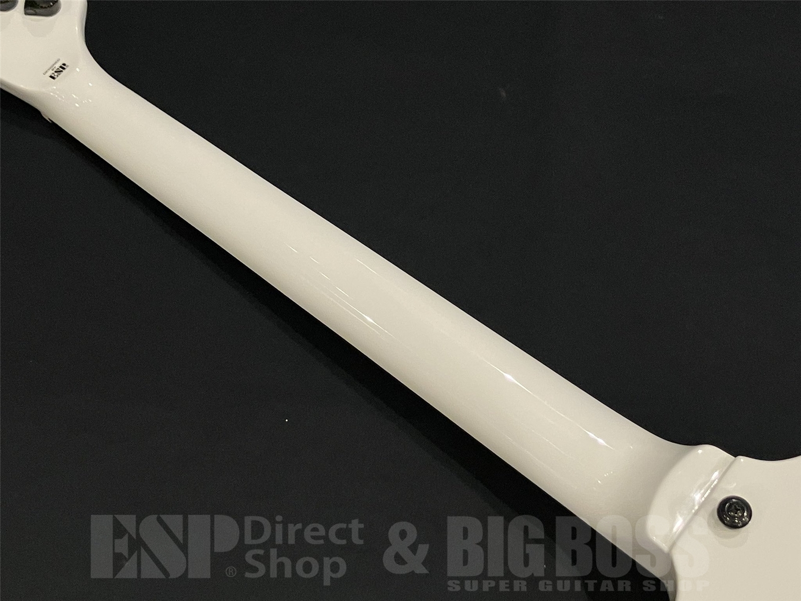 【即納可能】LTD(エルティーディー) SNAKEBYTE / Snow White (METALLICA/James Hetfieldモデル) 京都店 - 10