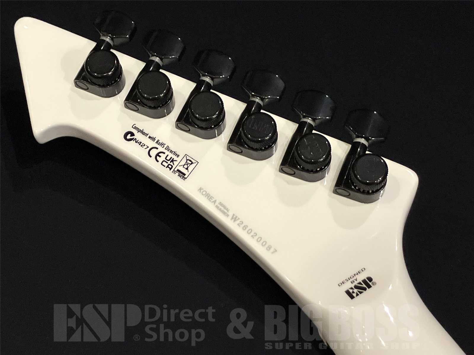 【即納可能】LTD(エルティーディー) SNAKEBYTE / Snow White (METALLICA/James Hetfieldモデル) 京都店 - 11