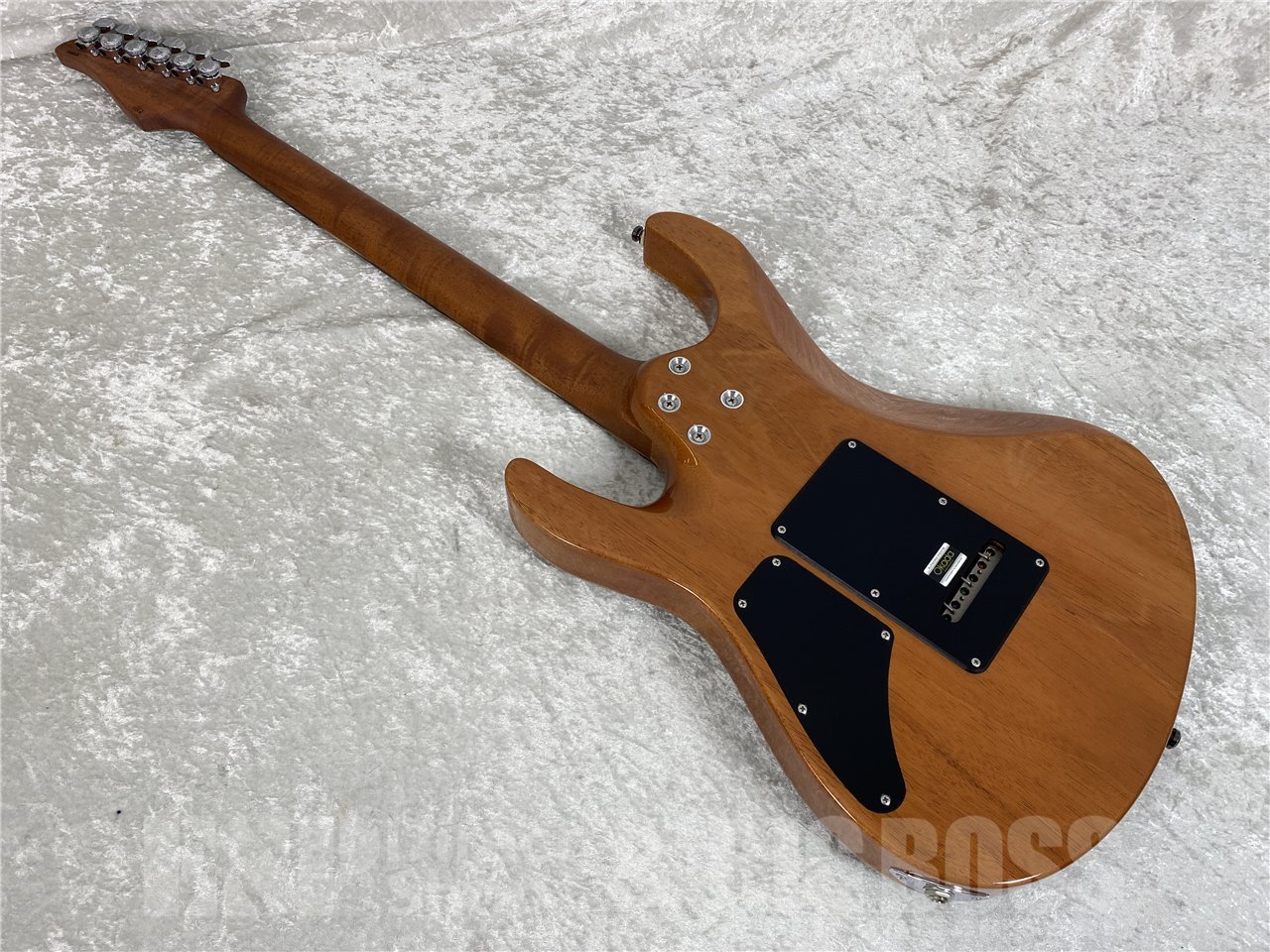 【即納可能】Suhr(サー) 	Custom Modern お茶の水駅前店(東京) - 10