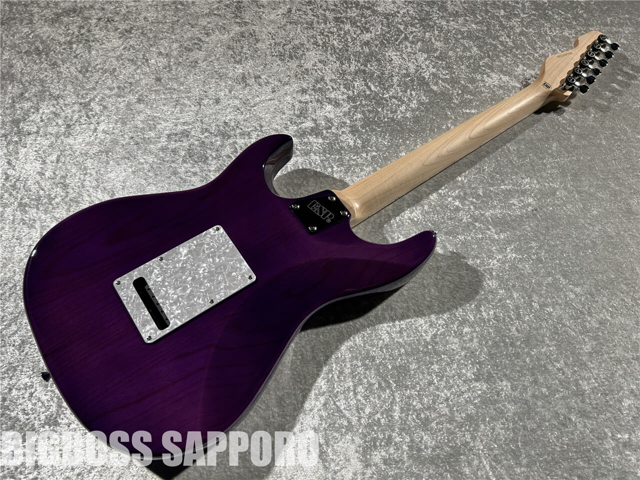 【即納可能】EDWARDS(エドワーズ) E-SNAPPER-AS/M (See Thru Purple) 札幌店