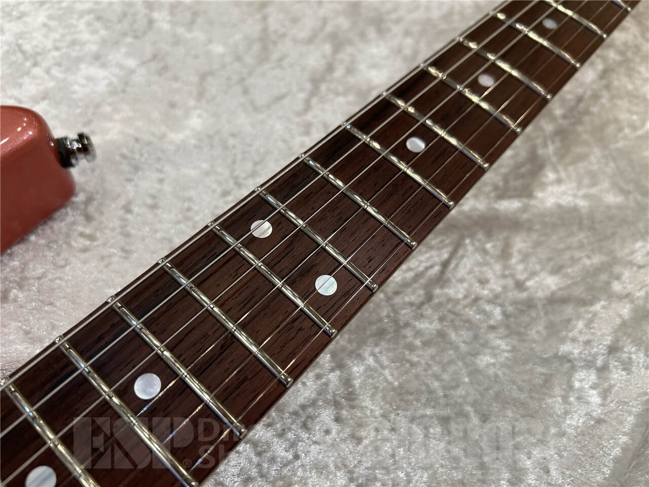 【即納可能】ESP（イーエスピー）SNAPPER Fujioka Custom / Vintage Burgundy Mist 仙台店 - 4