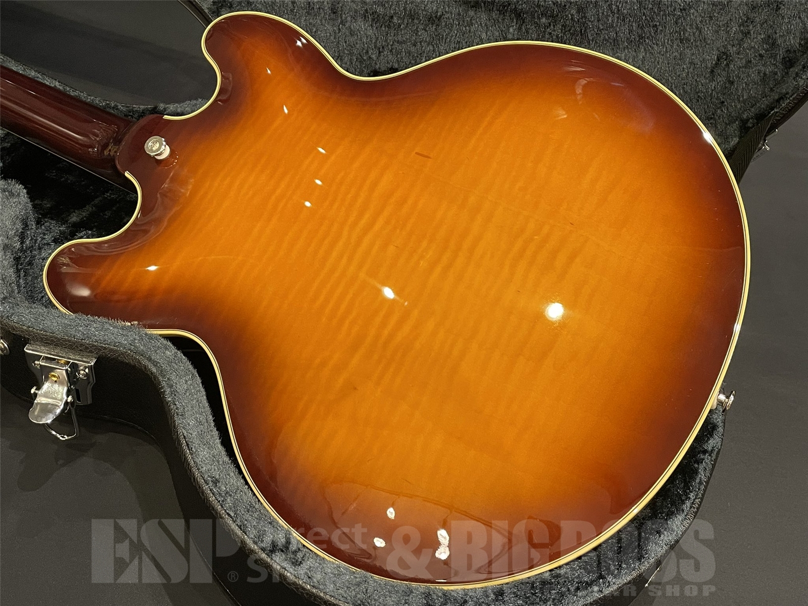 【即納可能】FUJIGEN (フジゲン) MSA-HP / Antique Sunburst 京都店 - 9