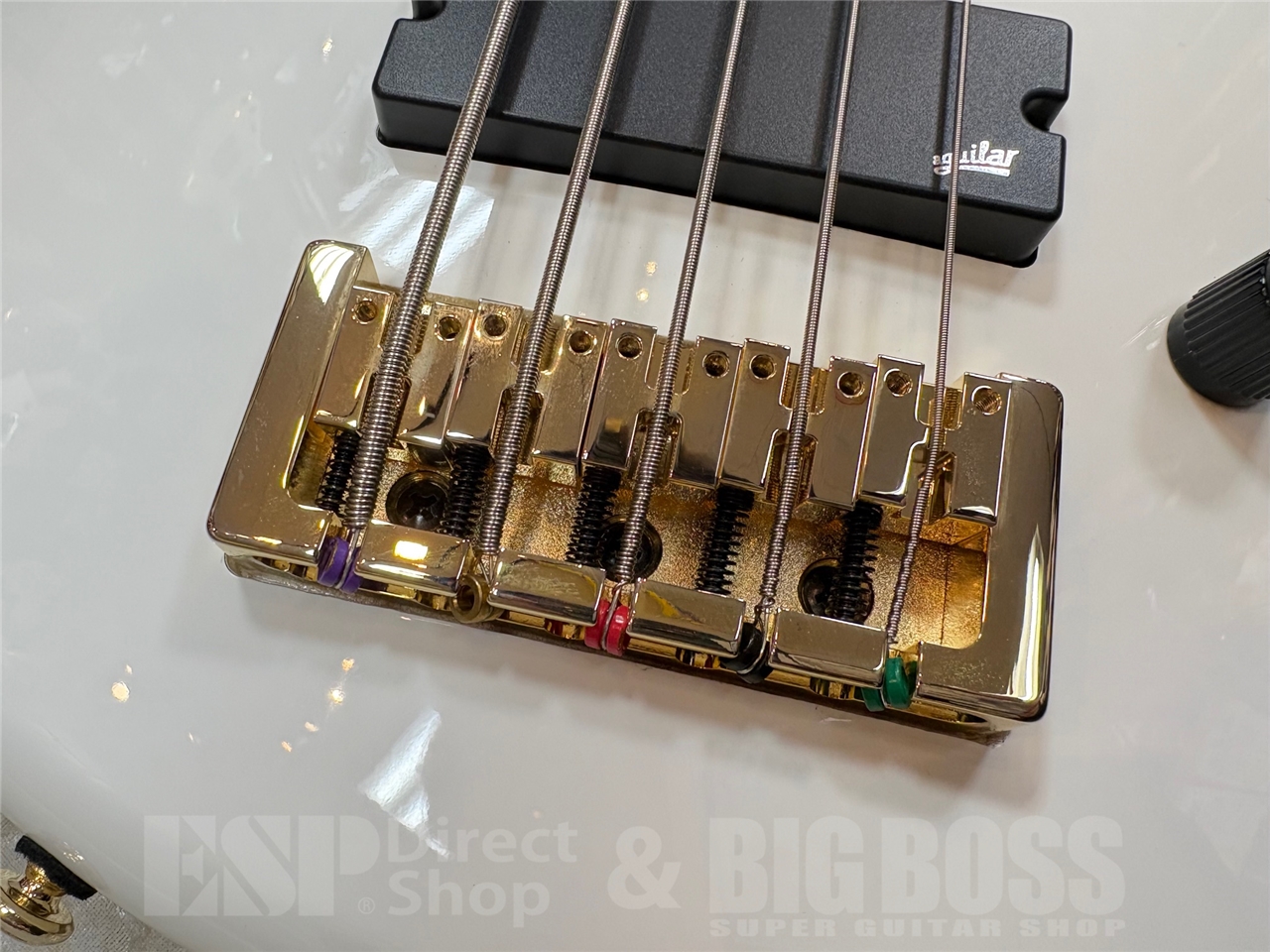 【即納可能】Spector/NS Icon Bolt-On 5/White GWS - 3