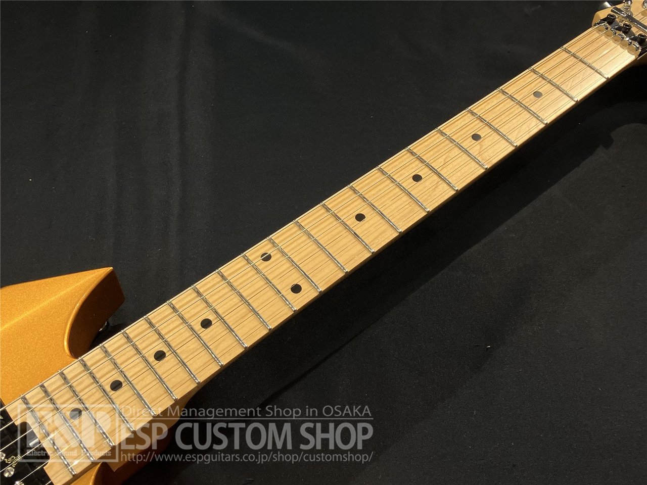 【即納可能】Killer(キラー) KG-Exploder II / Vintage Gold 大阪店 - 3