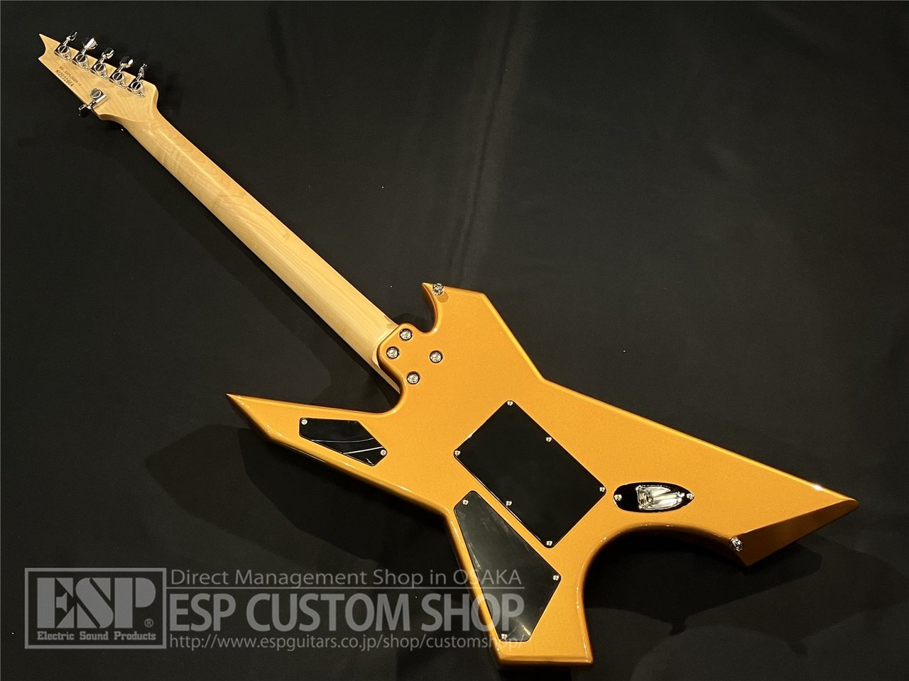 【即納可能】Killer(キラー) KG-Exploder II / Vintage Gold 大阪店 - 5