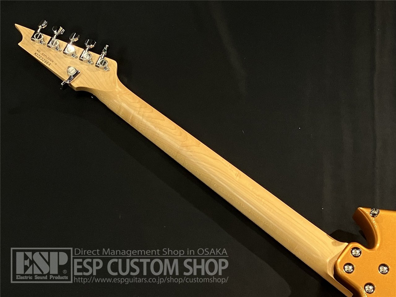 【即納可能】Killer(キラー) KG-Exploder II / Vintage Gold 大阪店 - 7