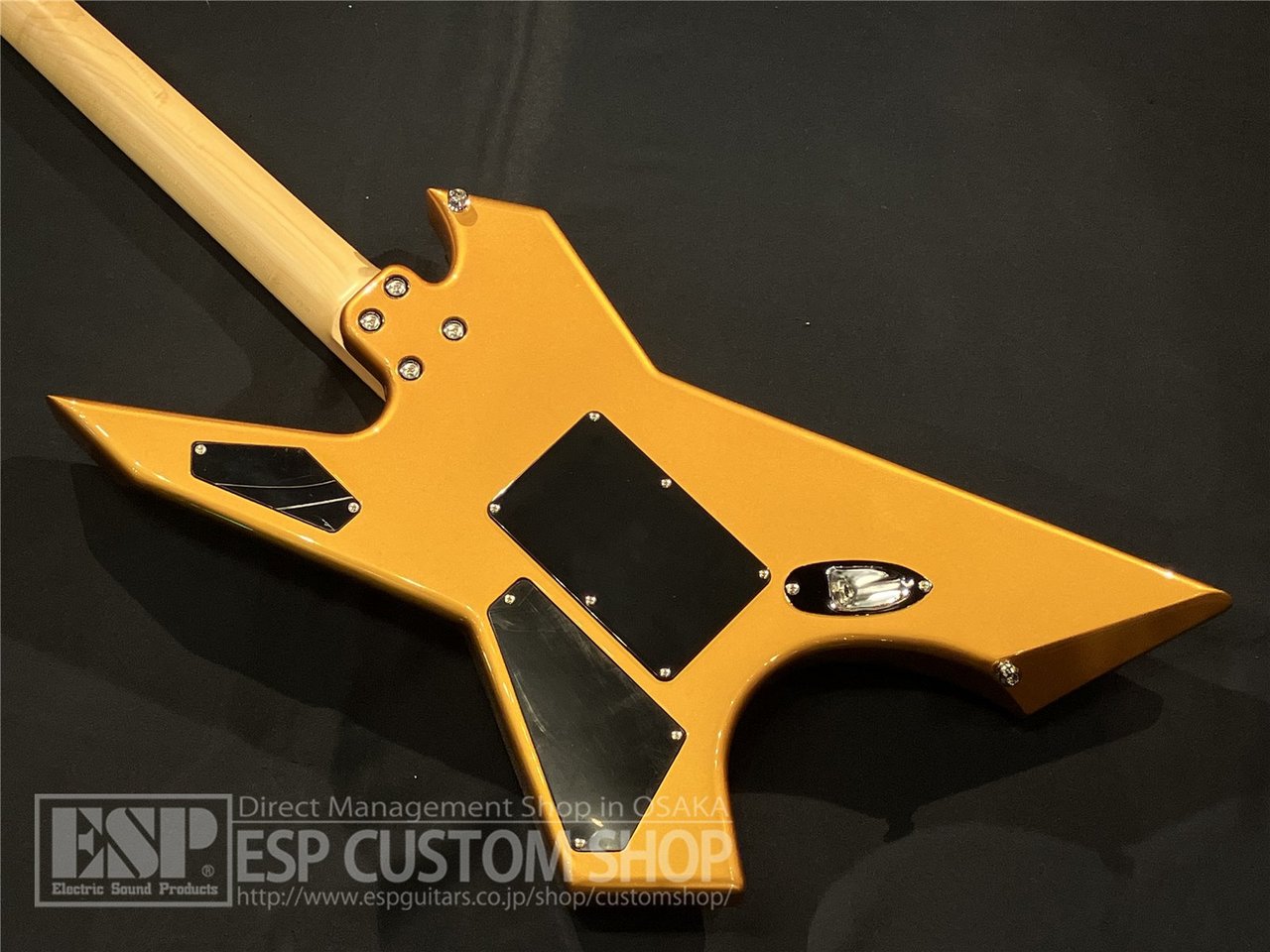 【即納可能】Killer(キラー) KG-Exploder II / Vintage Gold 大阪店 - 6