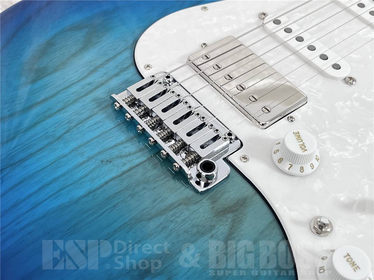 【即納可能】EDWARDS(エドワーズ) E-SNAPPER-AS/M (See Thru Blue Sunburst) お茶の水駅前店・別館 - 4