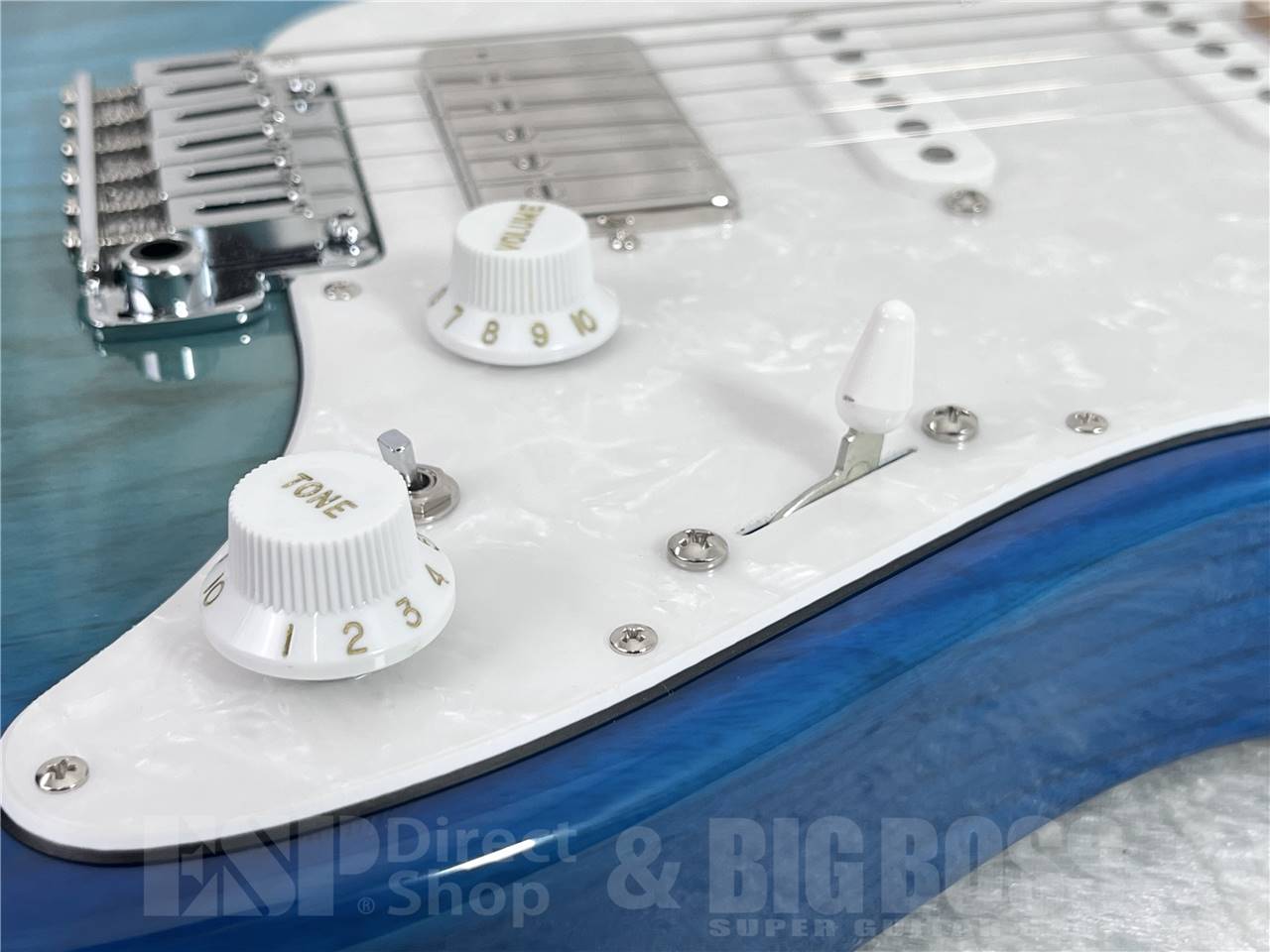 【即納可能】EDWARDS(エドワーズ) E-SNAPPER-AS/M (See Thru Blue Sunburst) お茶の水駅前店・別館 - 5