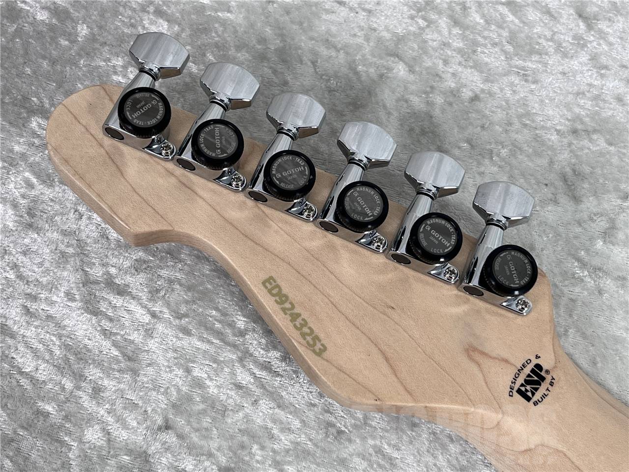 【即納可能】EDWARDS(エドワーズ) E-SNAPPER-AS/M (See Thru Blue Sunburst) お茶の水駅前店・別館 - 12