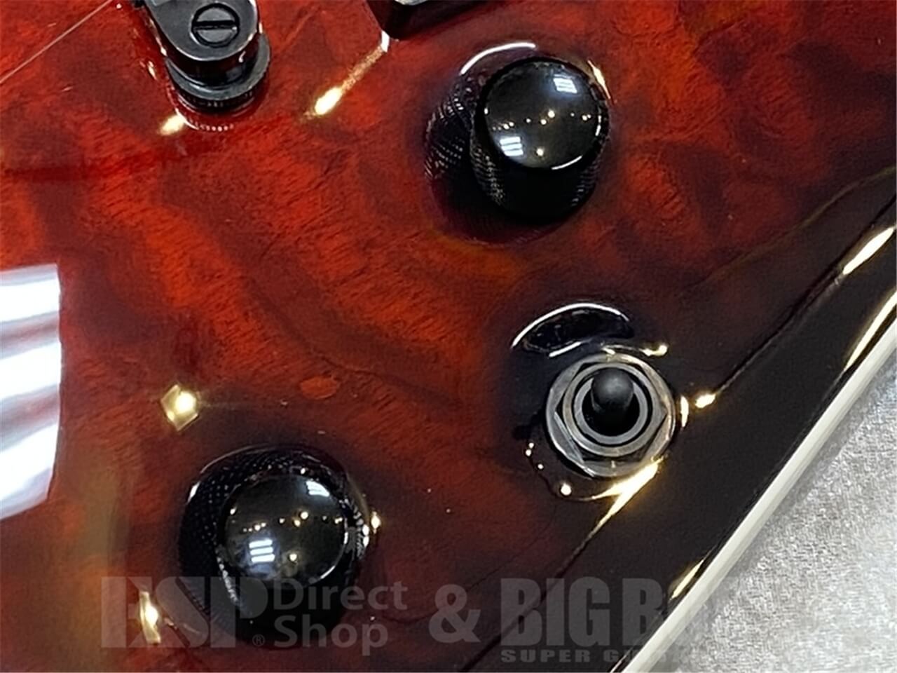 【即納可能】E-II(イーツー) HORIZON NT-II EMG/See Thru Black Cherry Sunburst  GWS - 5