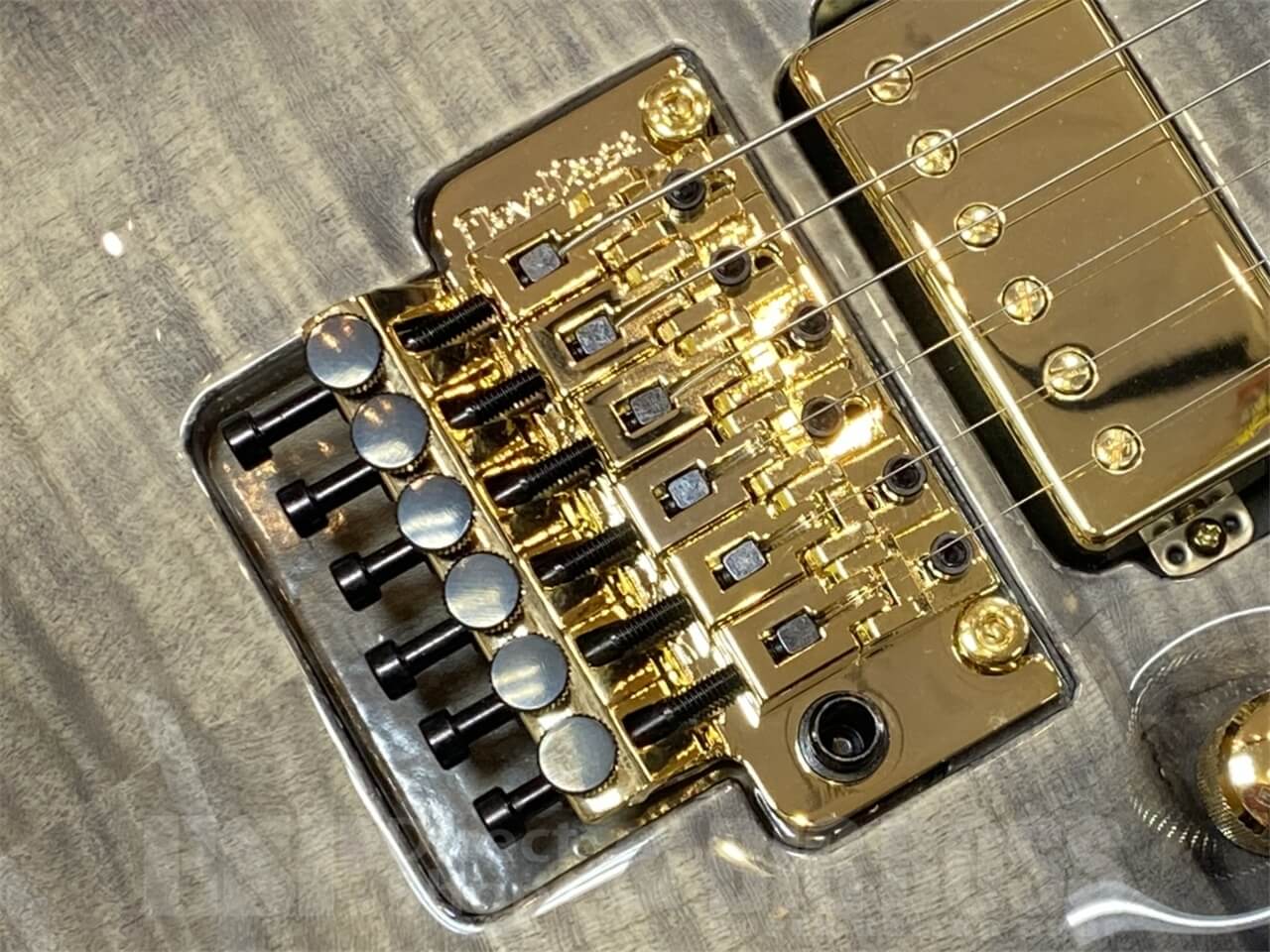 EDWARDS（エドワーズ）E-HORIZON-CTM 50TH/Ash Black Burst C/Black Pearl Back GWS - 3