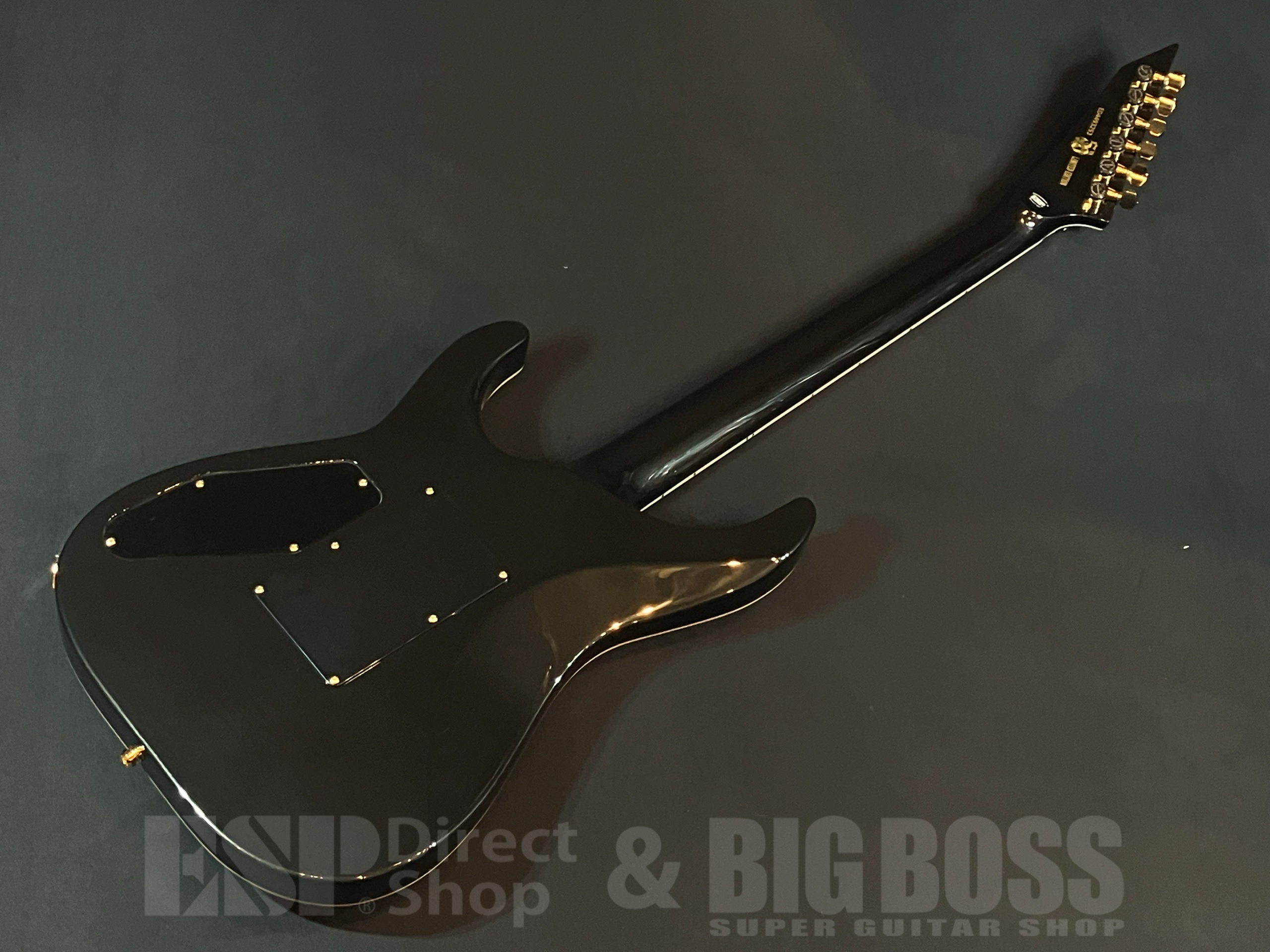 【即納可能】EDWARDS(エドワーズ) E-HORIZON-CTM 50TH / Ash Black Burst C/Black Pearl Back 大阪店 - 5