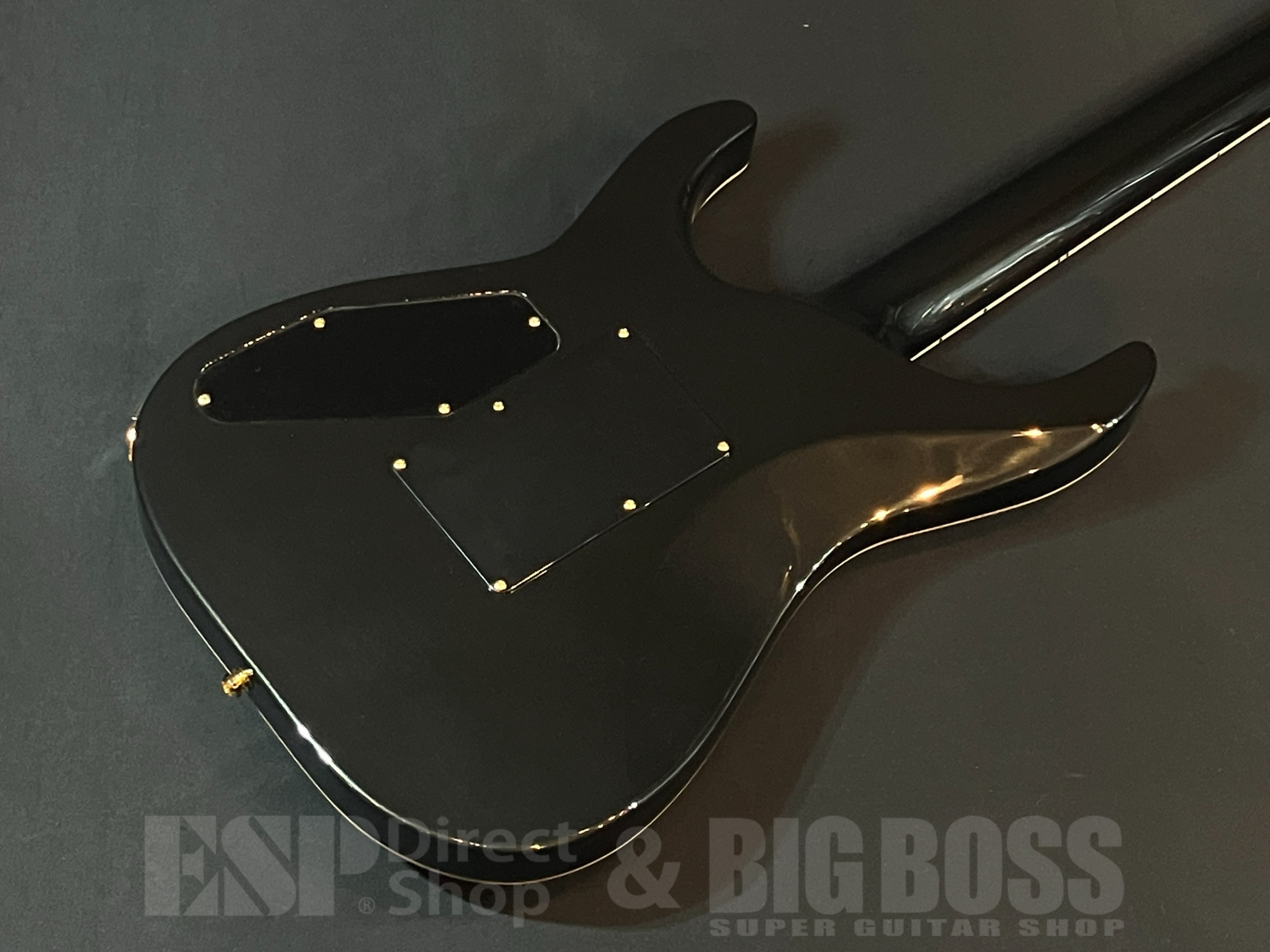 【即納可能】EDWARDS(エドワーズ) E-HORIZON-CTM 50TH / Ash Black Burst C/Black Pearl Back 大阪店 - 6