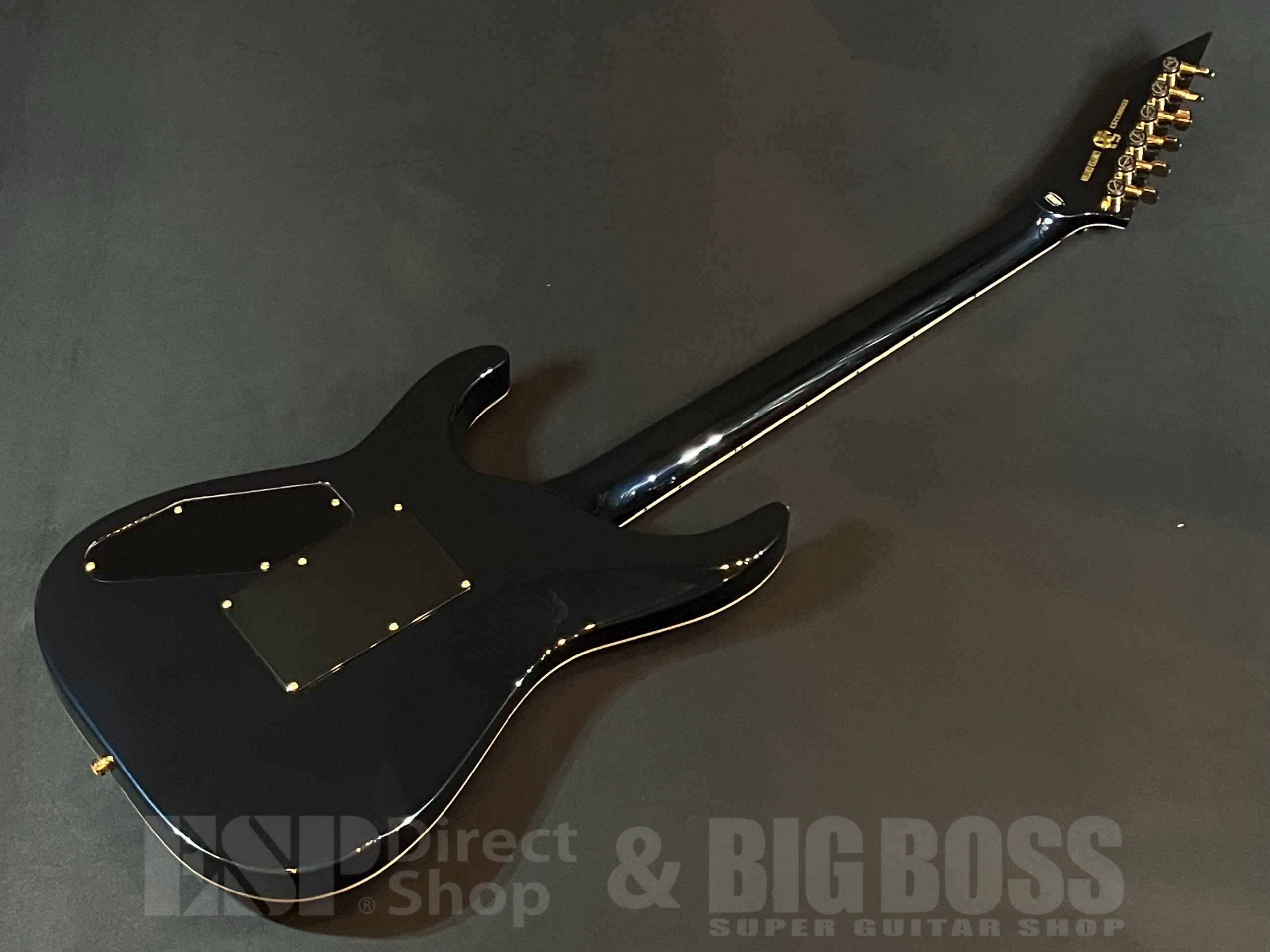 【即納可能】EDWARDS(エドワーズ) E-HORIZON-CTM 50TH / Black Aqua Burst C/Blue Pearl Back 大阪店 - 5