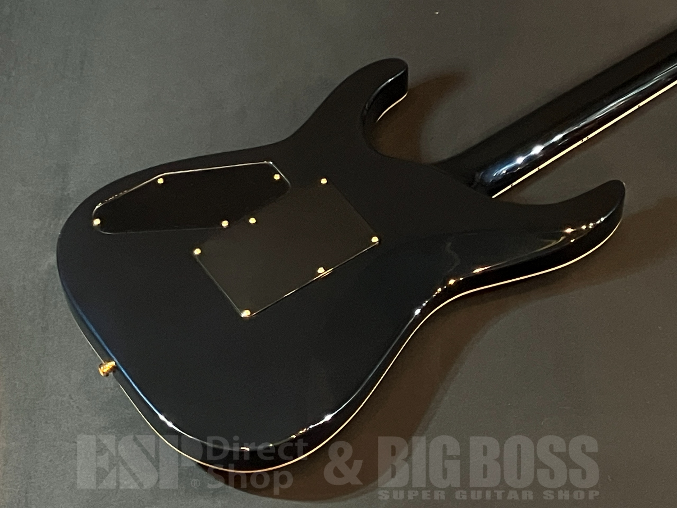 【即納可能】EDWARDS(エドワーズ) E-HORIZON-CTM 50TH / Black Aqua Burst C/Blue Pearl Back 大阪店 - 6