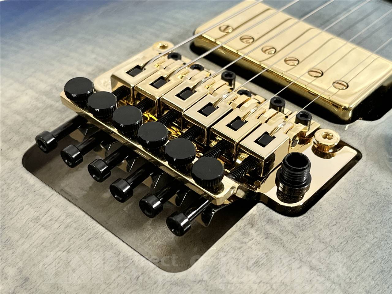 【即納可能】EDWARDS(エドワーズ) E-HORIZON-CTM 50th (Black Aqua Burst C / Blue Pearl Back) お茶の水駅前店・別館 - 3