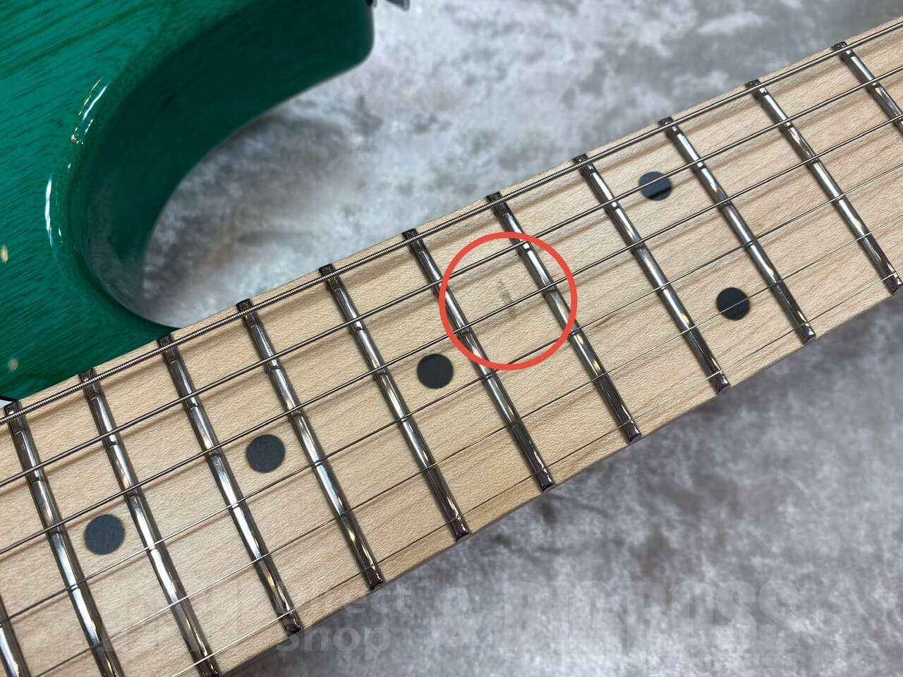 【即納可能】EDWARDS E-SNAPPER-AS/M /Turquoise GWS - 6