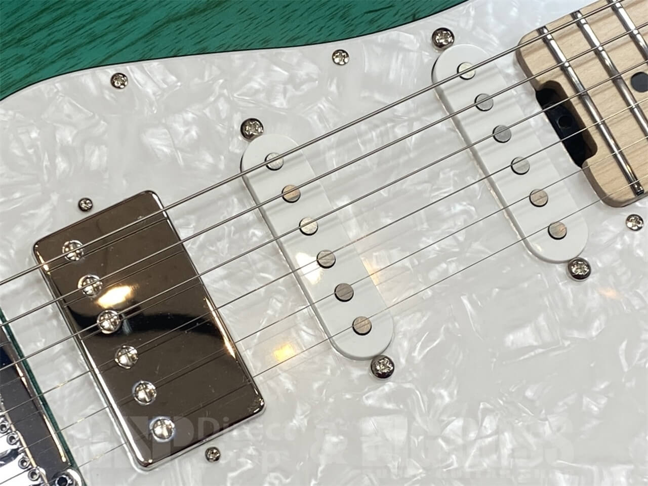 【即納可能】EDWARDS E-SNAPPER-AS/M /Turquoise GWS - 4