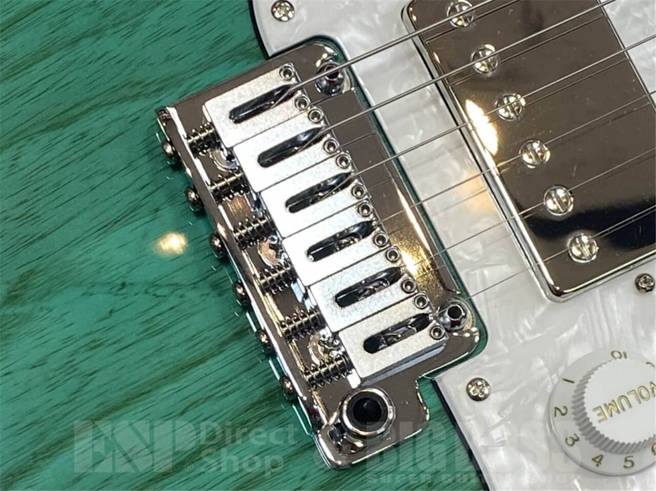 【即納可能】EDWARDS E-SNAPPER-AS/M /Turquoise GWS - 3