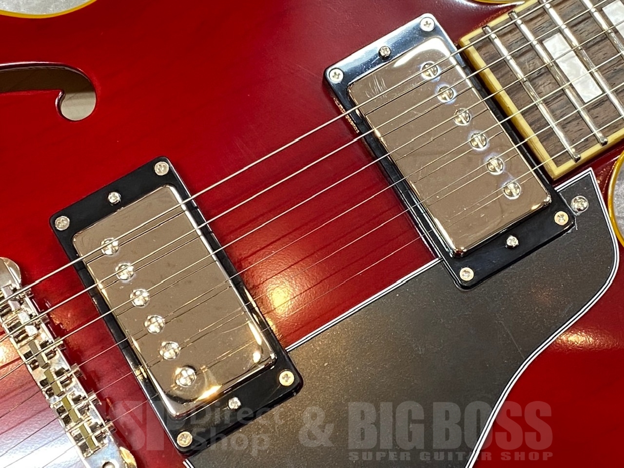 【即納可能】EDWARDS(エドワーズ) E-SA-STD / Cherry  GWS - 4