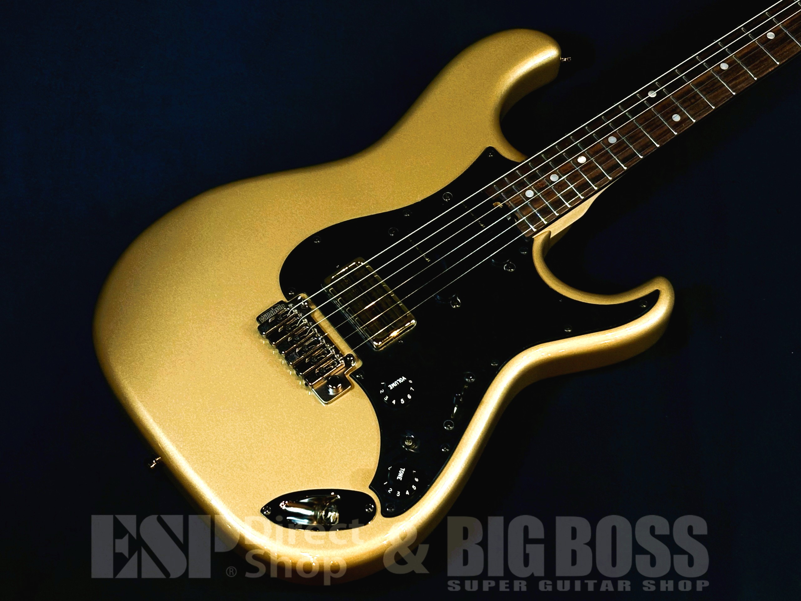 【即納可能】Killer(キラー) KG-Violator Deacon ′24 Lace Sensor Custom SSH / Sand tan metallic 大阪店 - 2