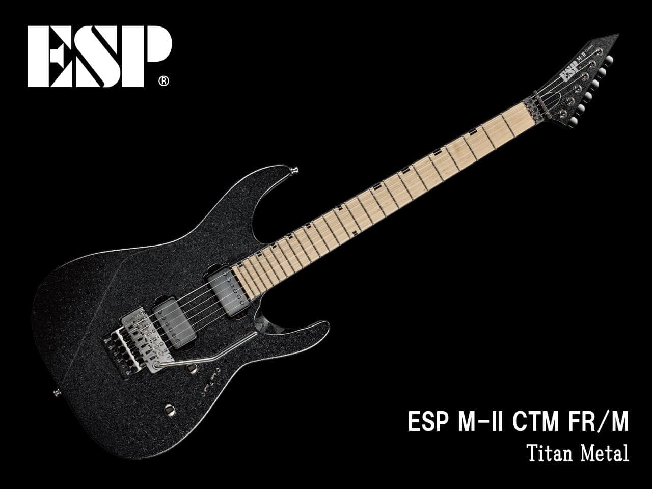 【受注生産】ESP(イーエスピー) M-II CTM FR/M (Titan Metal)